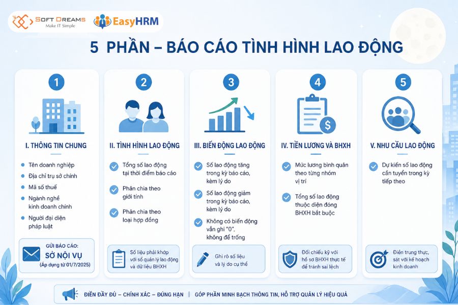 Các thông tin cần điền mẫu báo cáo tình hình sử dụng lao động