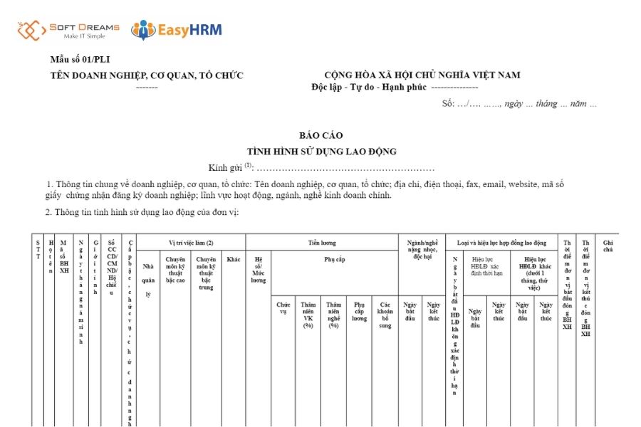 Mẫu báo cáo 01/PLI phổ biến cho doanh nghiệp