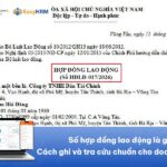 Số hợp đồng lao động là gì? Cách ghi và tra cứu chuẩn cho doanh nghiệp