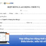 Mẫu hợp đồng lao động thời vụ: Điều khoản, mẫu tải về [MIỄN PHÍ]
