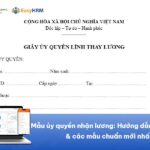 Mẫu ủy quyền nhận lương: Hướng dẫn soạn thảo & các mẫu chuẩn mới nhất