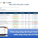 Phân công công việc là gì? Cách lập bảng phân công công việc hiệu quả [Có file tải]