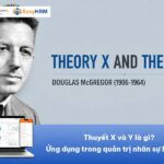 Thuyết X và Y là gì? Ứng dụng trong quản trị nhân sự hiệu quả
