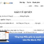Tổng hợp Mẫu giấy ủy quyền công ty 2026 kèm file Word, PDF