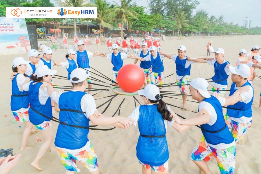 Team building – Giải pháp gắn kết và phát triển đội nhóm