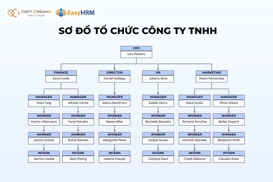 Mẫu sơ đồ tổ chức công ty TNHH