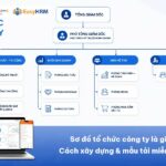 Sơ đồ tổ chức công ty là gì? Cách xây dựng & mẫu tải miễn phí