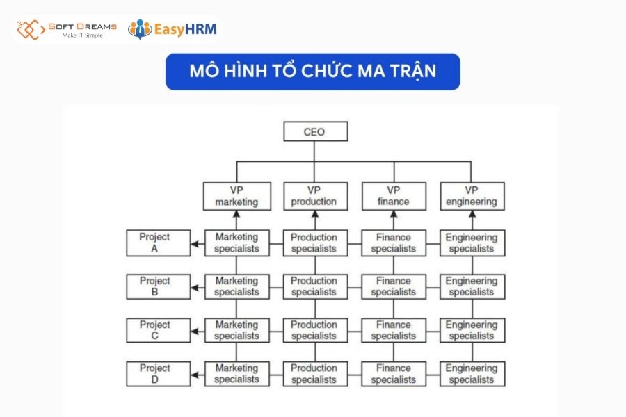 Mô hình tổ chức ma trận