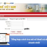 Hướng dẫn cách tra mã số thuế cá nhân: Chi tiết, dễ hiểu
