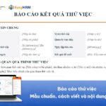 Báo cáo thử việc: Mẫu chuẩn, cách viết và nội dung cần có