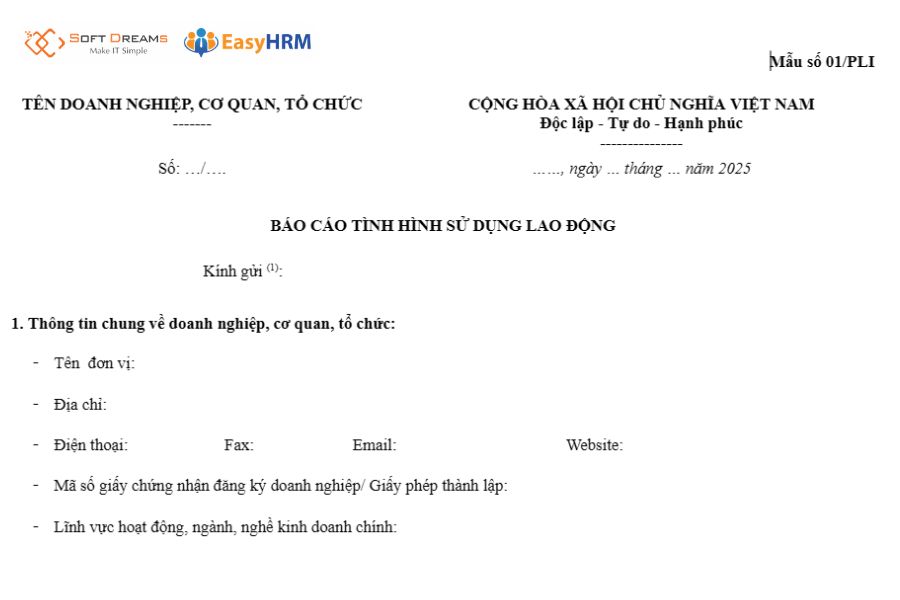 Mẫu báo cáo tình hình sử dụng lao động
