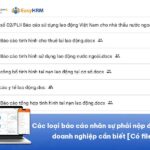 Các loại báo cáo nhân sự phải nộp đầy đủ nhất doanh nghiệp cần biết