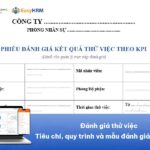 Đánh giá thử việc: Tiêu chí, quy trình và mẫu đánh giá nhân viên