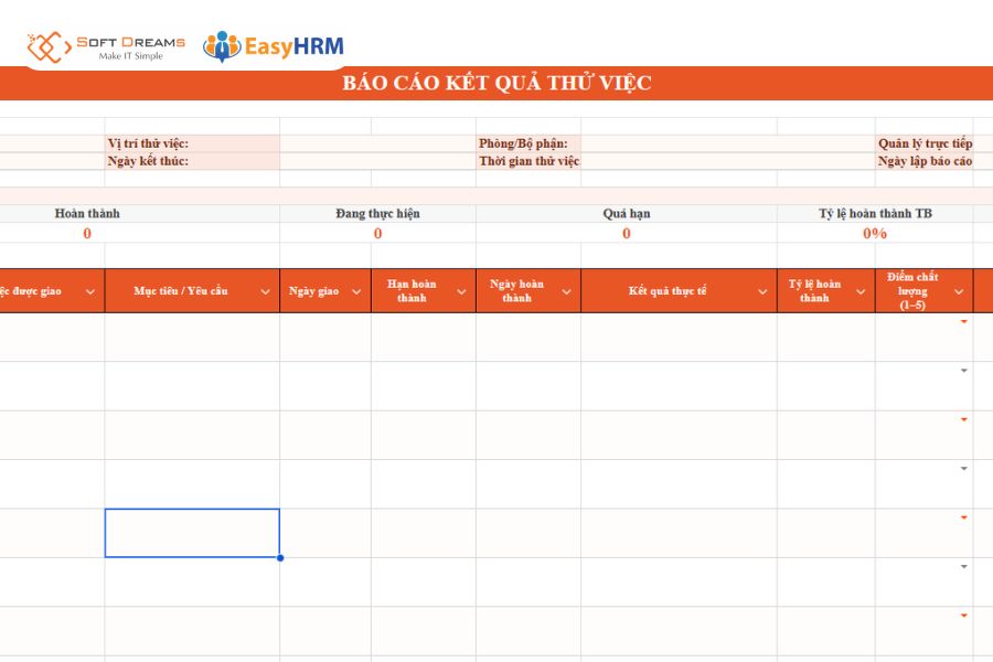Mẫu báo cáo thử việc file Excel