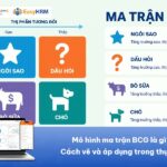 Mô hình ma trận BCG là gì? Cách vẽ và áp dụng trong thực tế
