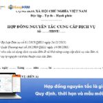 Hợp đồng nguyên tắc là gì? Quy định, thời hạn và mẫu mới nhất